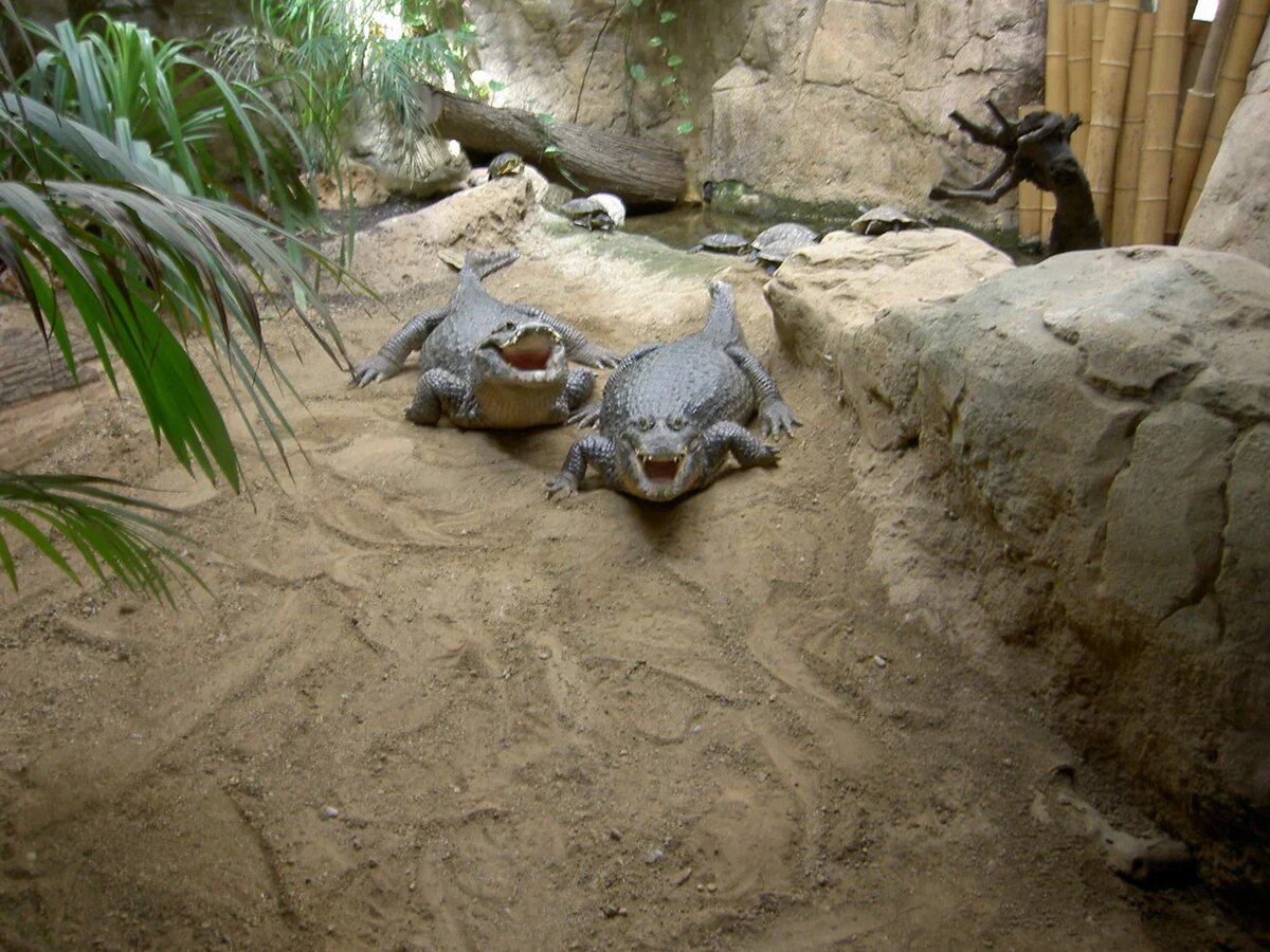 Недовольные налогоплательщики