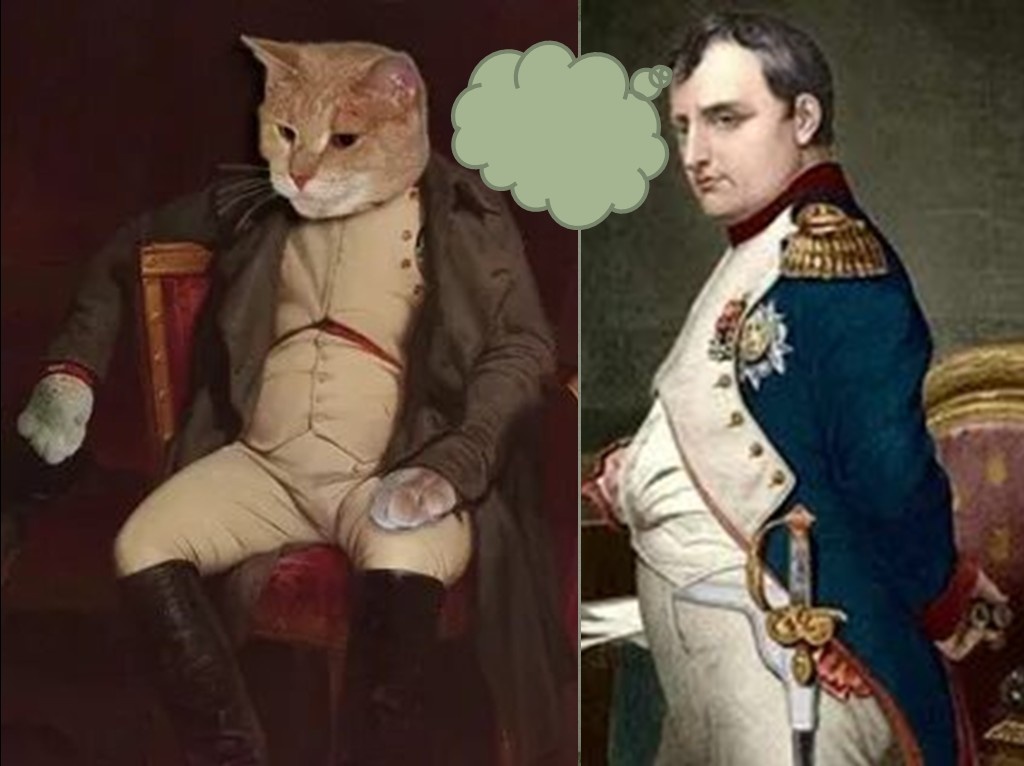 Картинки взяты из свободного доступа.