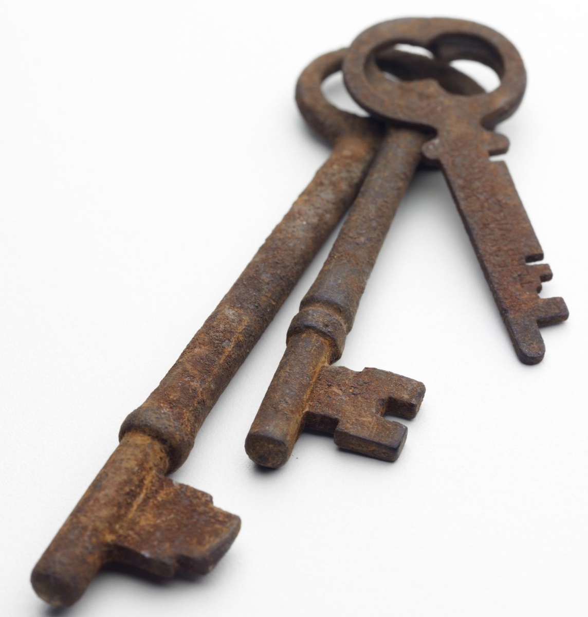 Источник фото - сайт https://clck.ru/3F3toi