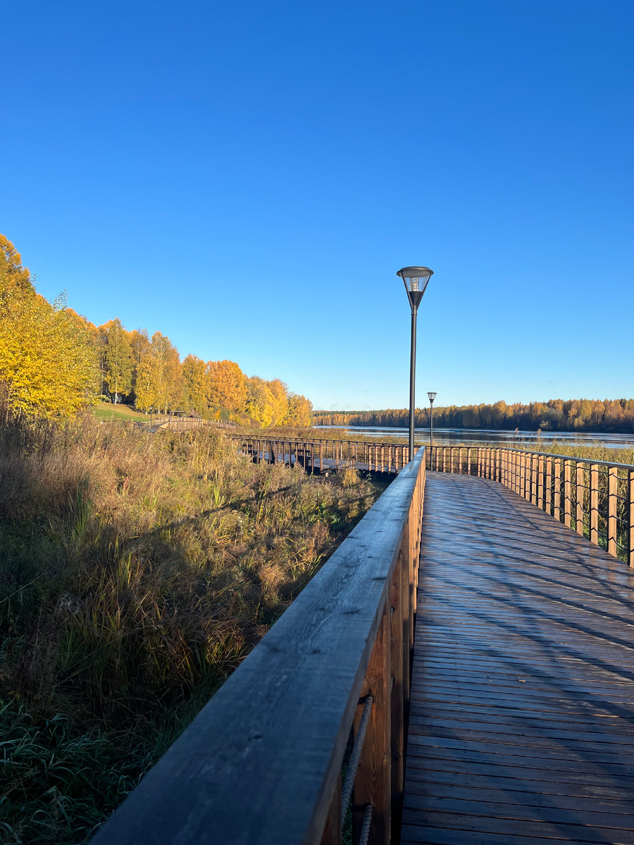 Лодейное поле