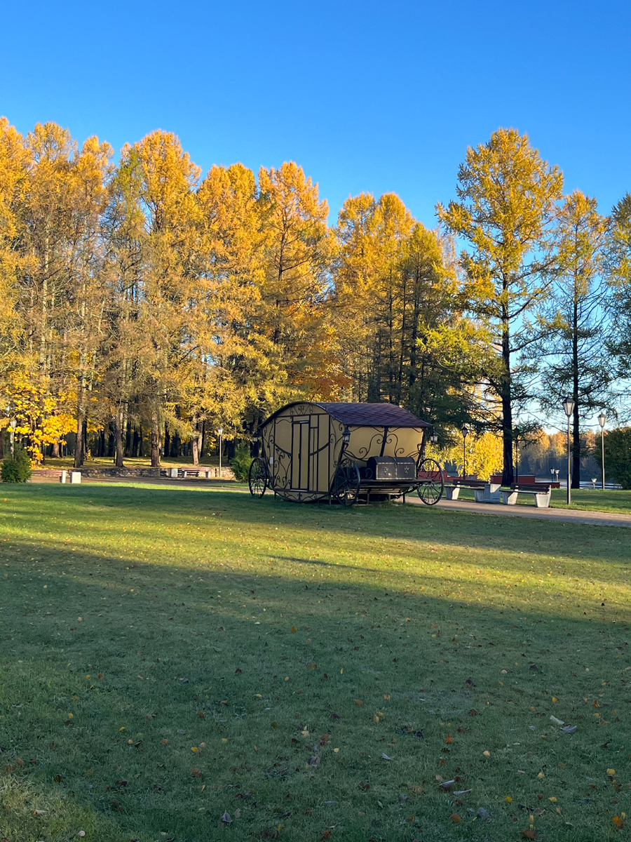 Парк. Лодейное поле