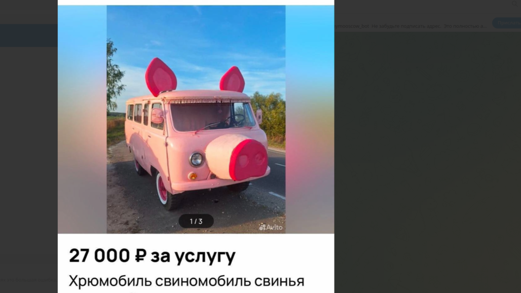    фото: тг-канал "моя москва".