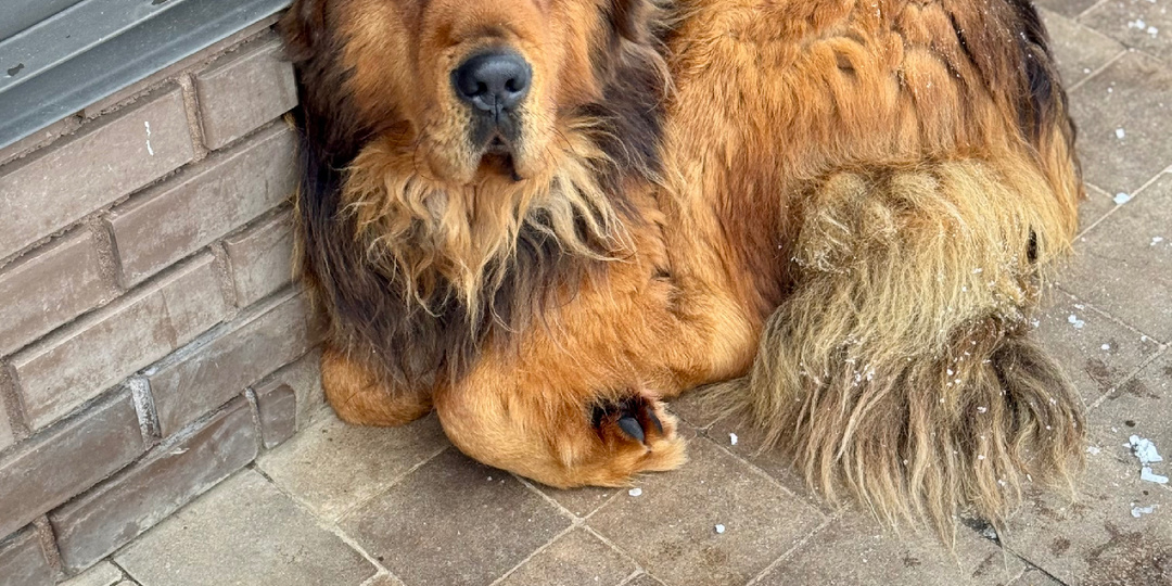 «Новости какие в нашем маленьком городке» (с)