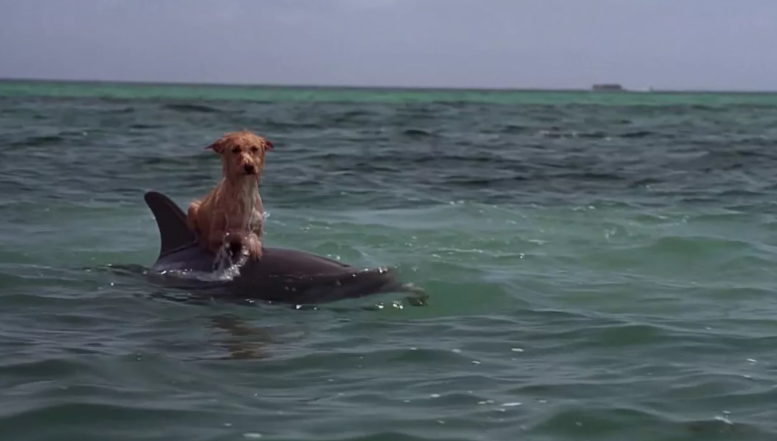 Заберите меня отсюда!