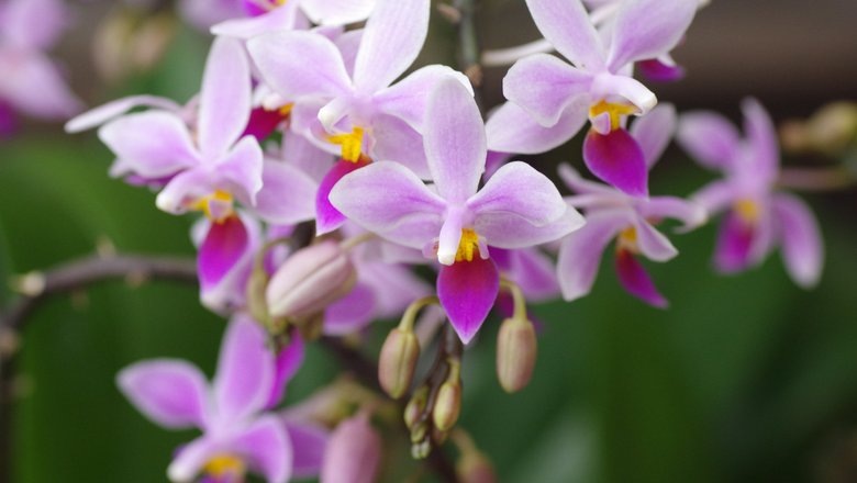 Источник: Shutterstock