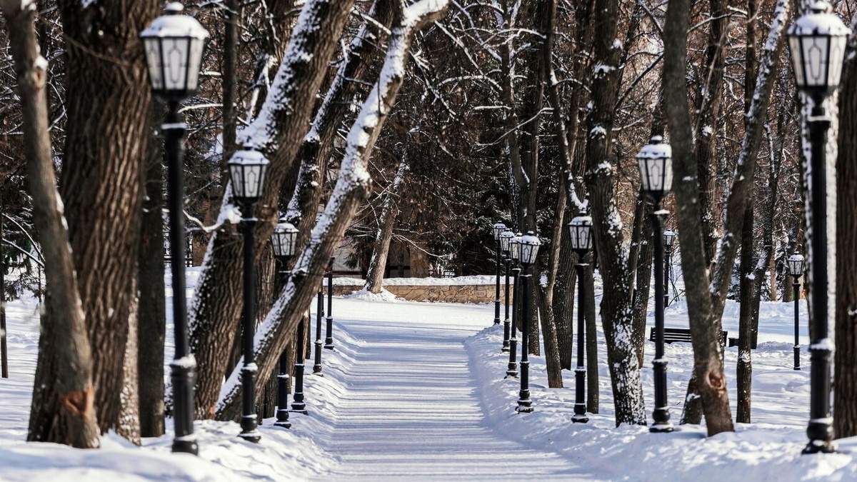    Сургутяне смогут проголосовать за благоустройство сквера