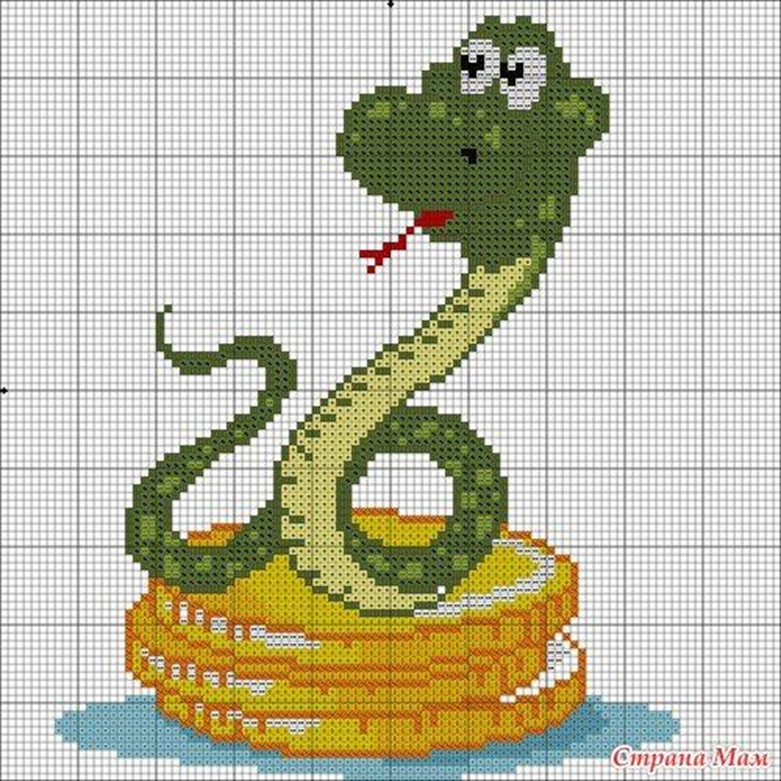 Изображение из свободного доступа сети интернет (источник Страна Мам)