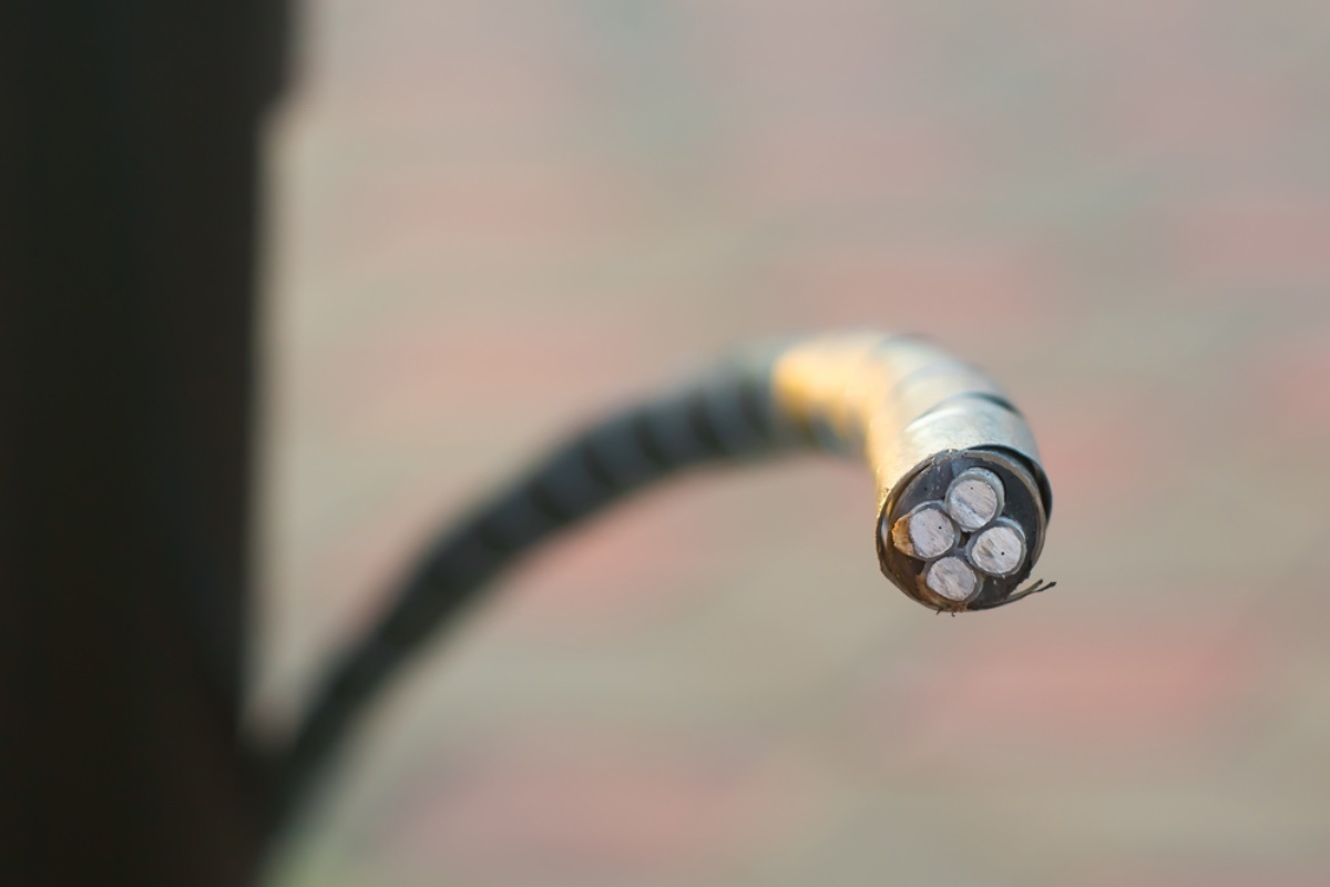    Cat Us / Shuttersock / FOTODOM