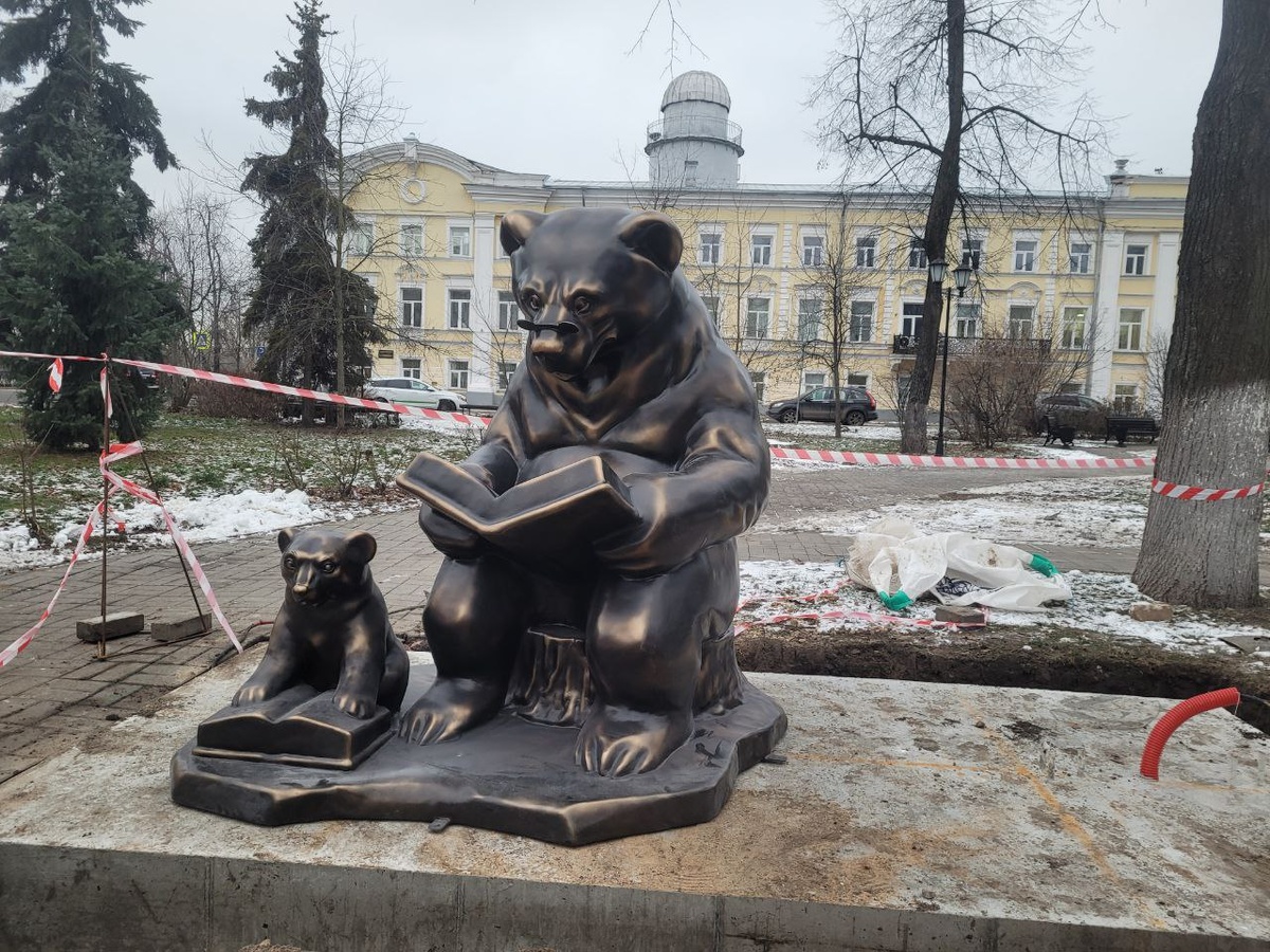 Медведики в ярославле