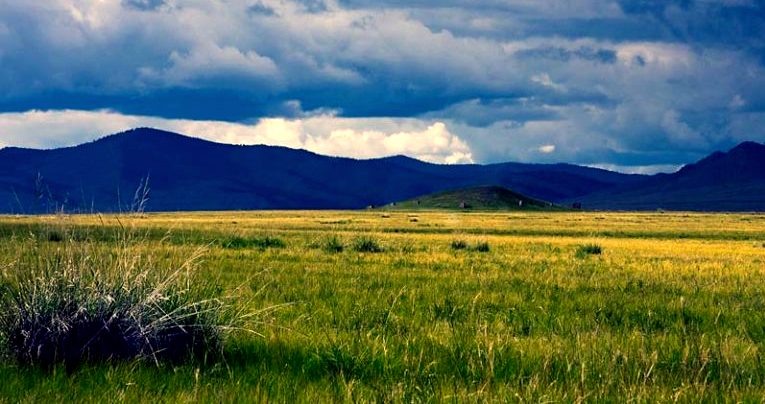 Из открытых источников.