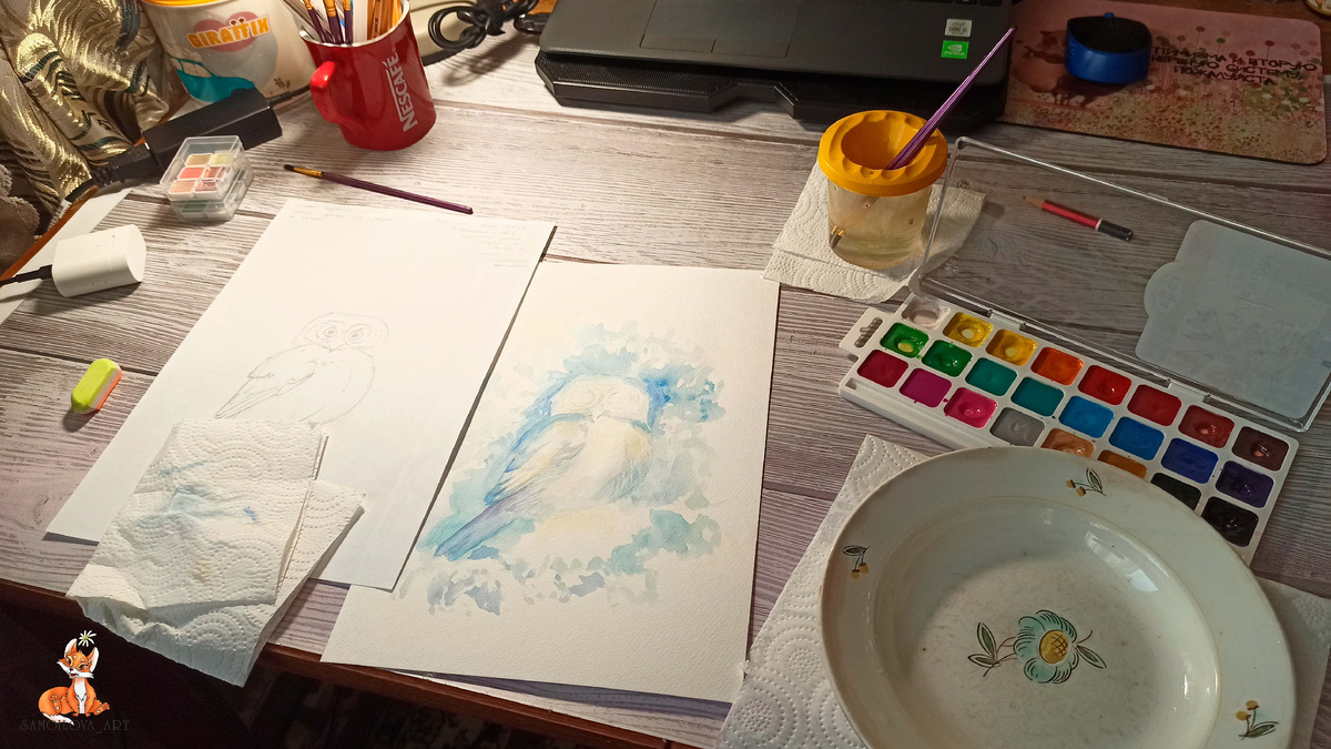 Воробьиный сычик, процесс