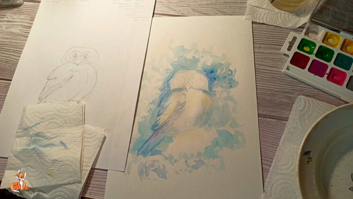 Воробьиный сычик, процесс