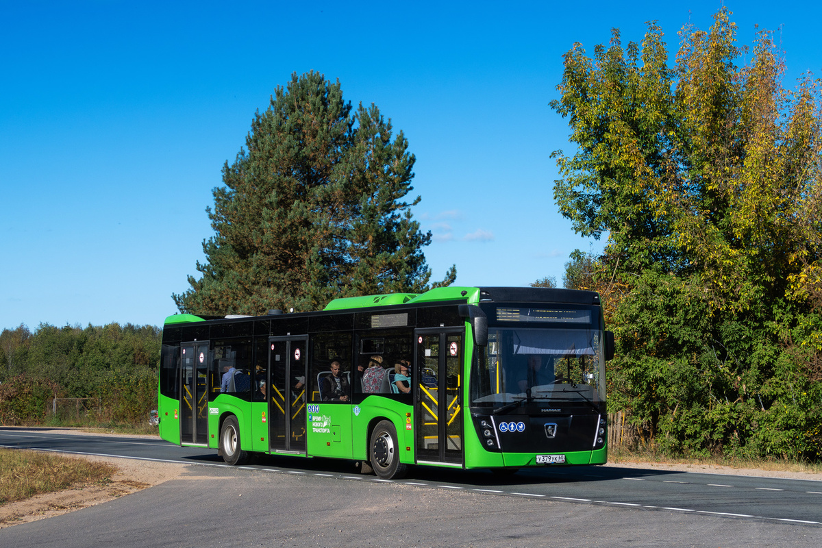 Автобус НефАЗ-5299 в Псковской области. Источник фото - fotobus.msk.ru