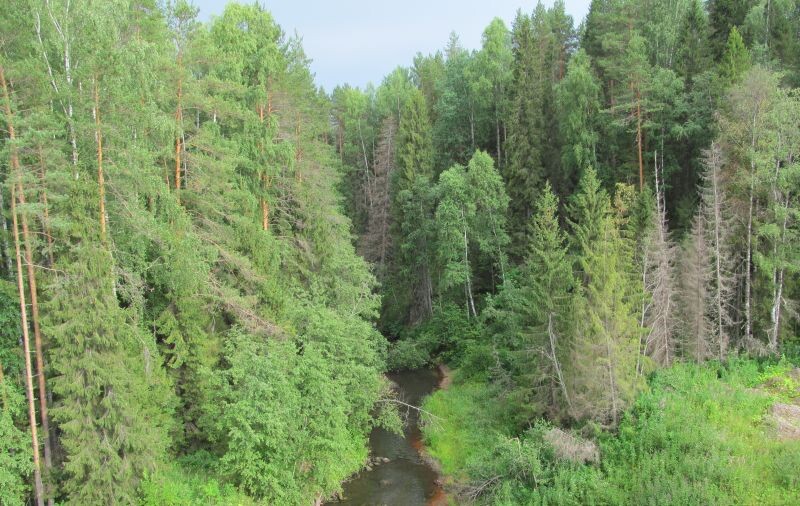 фото авторское