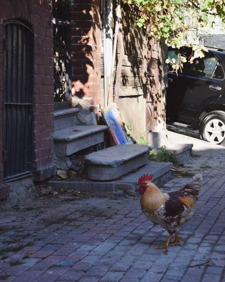 Нормальная встреча для центра Стамбула)