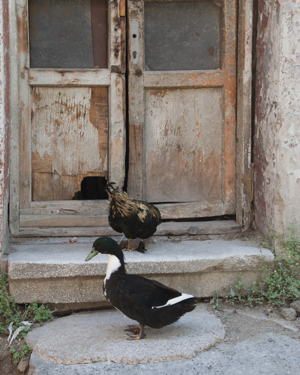 Или вот такая встреча