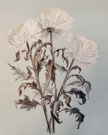 Рисунок О.Мороз