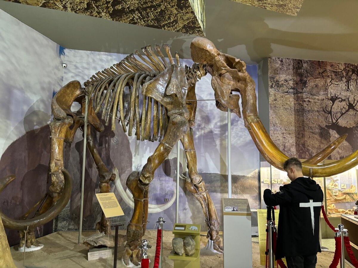 Экспонат Азовского Музея