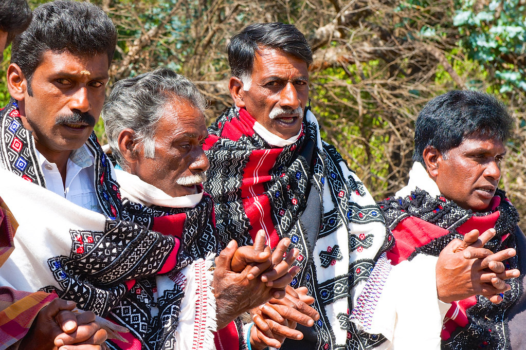 Адиваси: народ тода