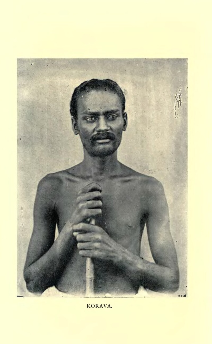 Адиваси: народ корава