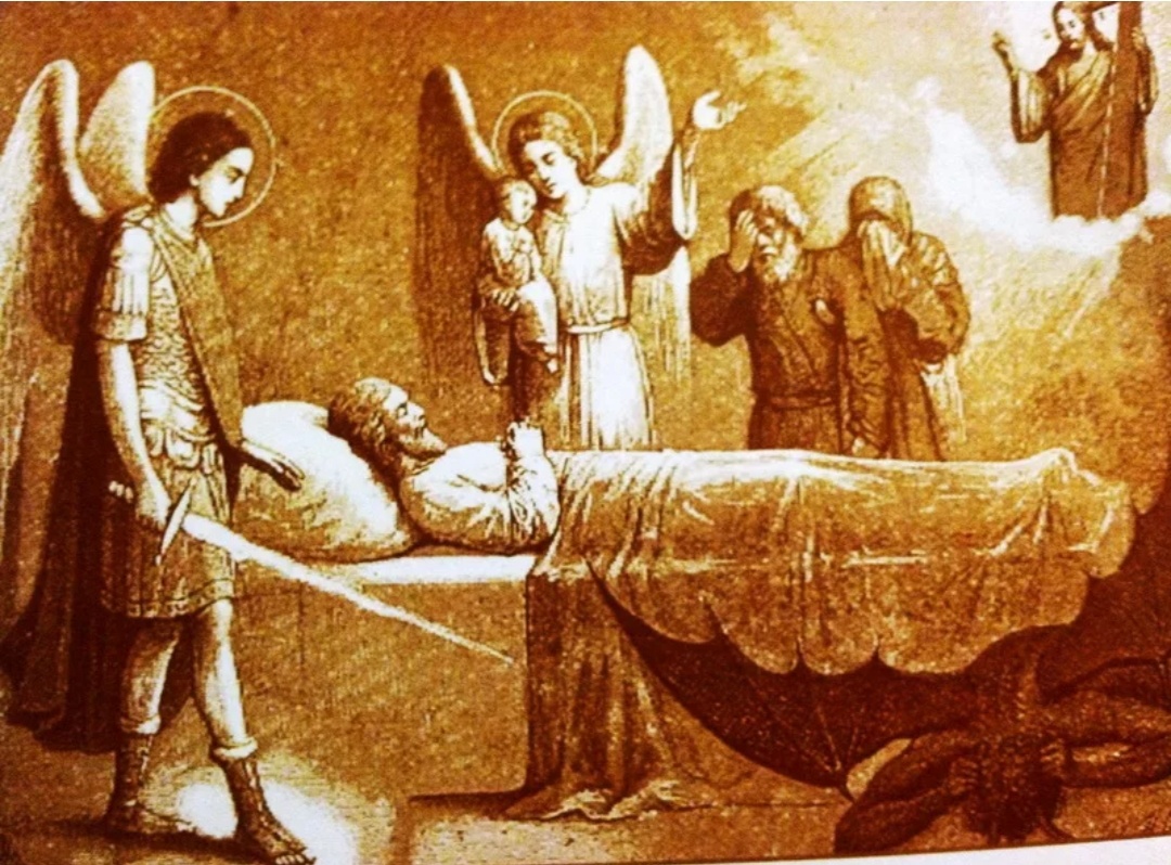 Изображение из интернет 