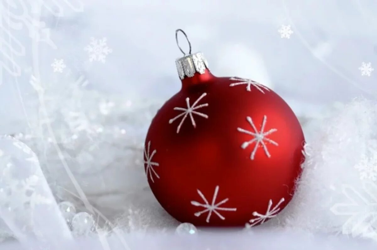    В Новосибирске будут снимать семейную новогоднюю комедию