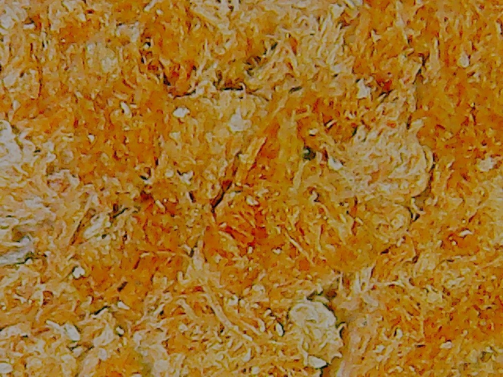 Нижний слой из волокон натуральных кож