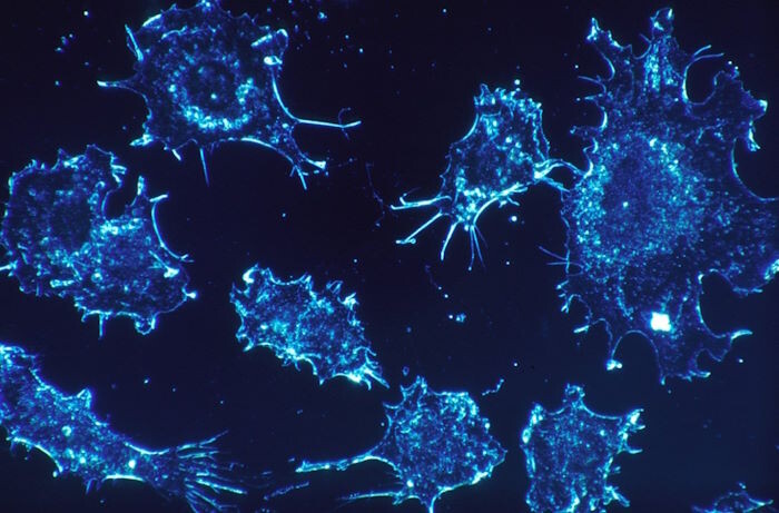 Фото: tayna24.ru