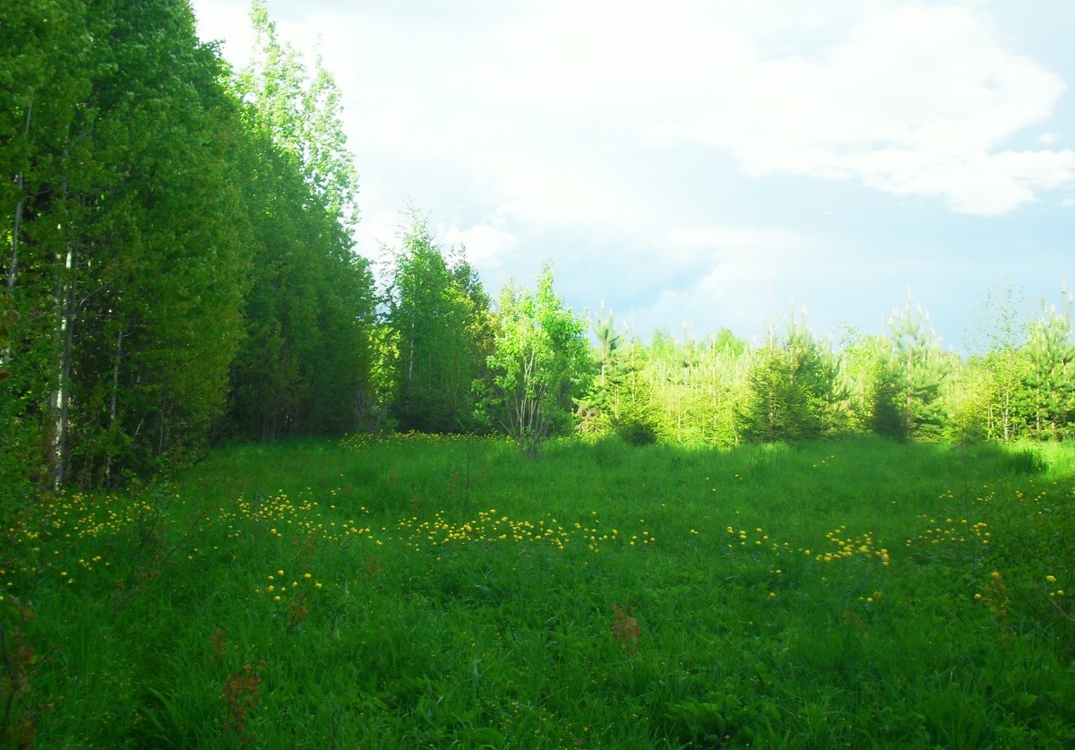 фото авторское