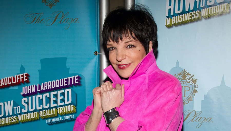 Книга и сериал расскажут не только о звездной жизни, но и провалах и поражениях звезды (Источник: Tristan Fuge)