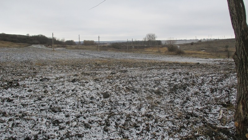      Фото: Северо-Кавказское межрегиональное управление Россельхознадзора