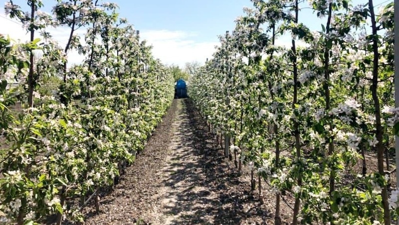      Фото: администрация Минераловодского округа