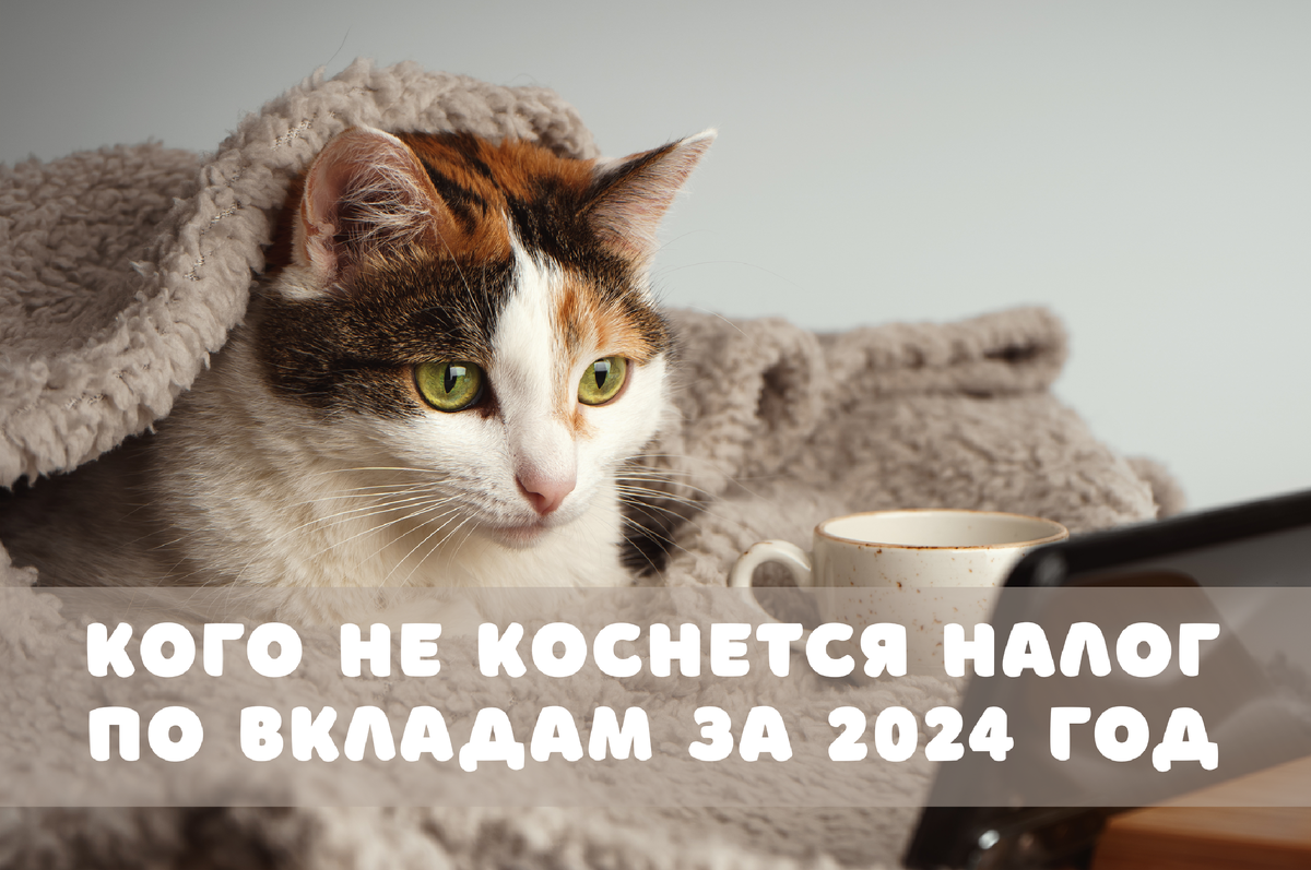 Фото: Shutterstock / Evgenia Terekhova