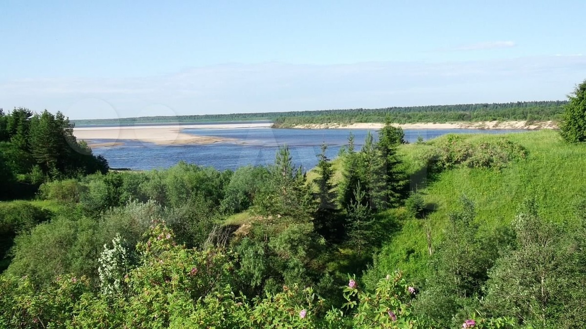 фото авторское