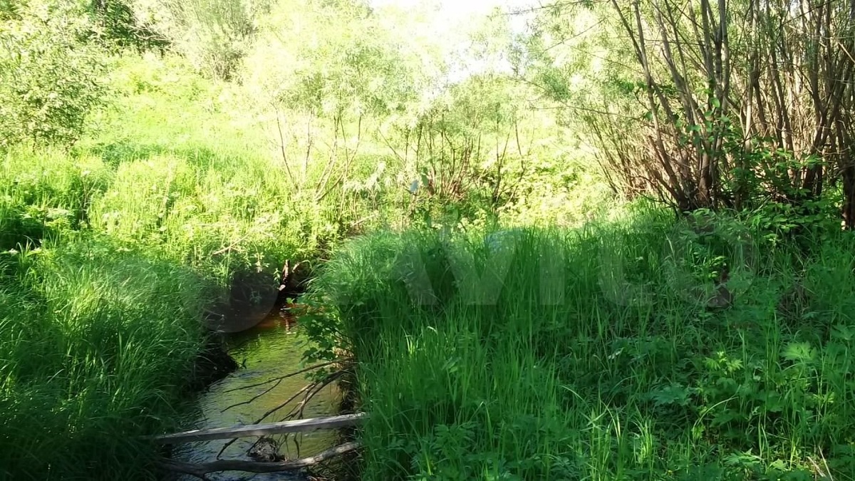 фото авторское  