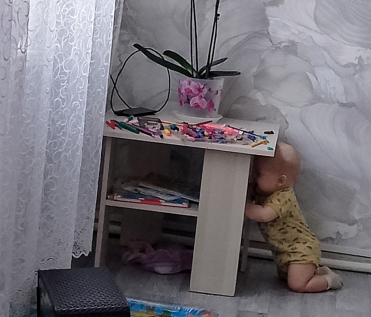 Сегодня отправила мужу фото с надписью партизан в действии 