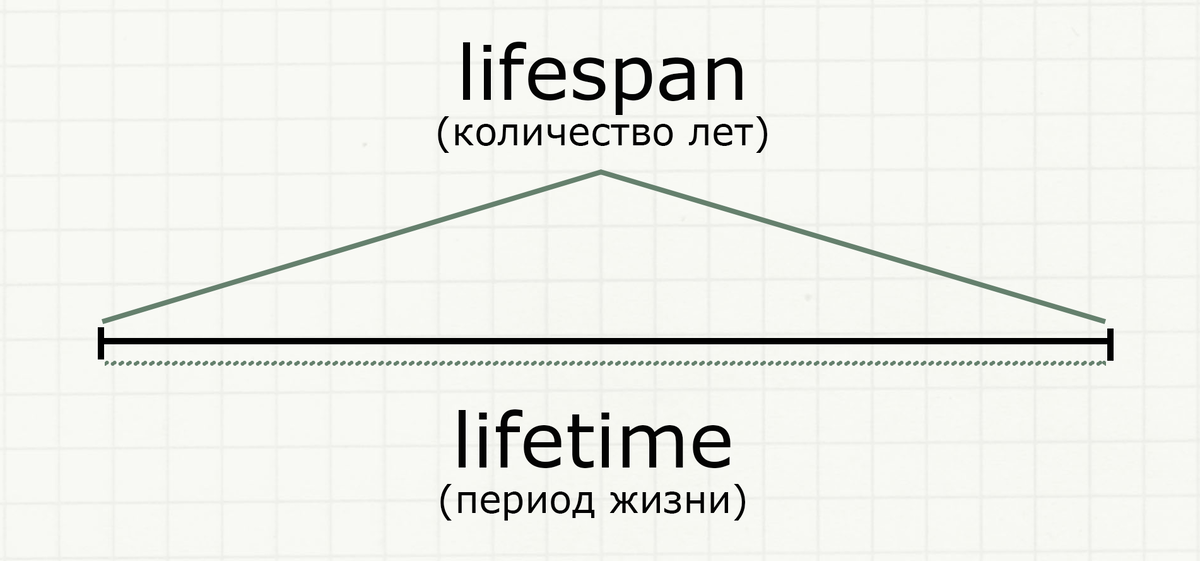 Если представить оба слова в виде отрезка, то lifespan — это две точки по краям: начало и конец жизни. А lifetime — это все остальные точки между этим двумя.
