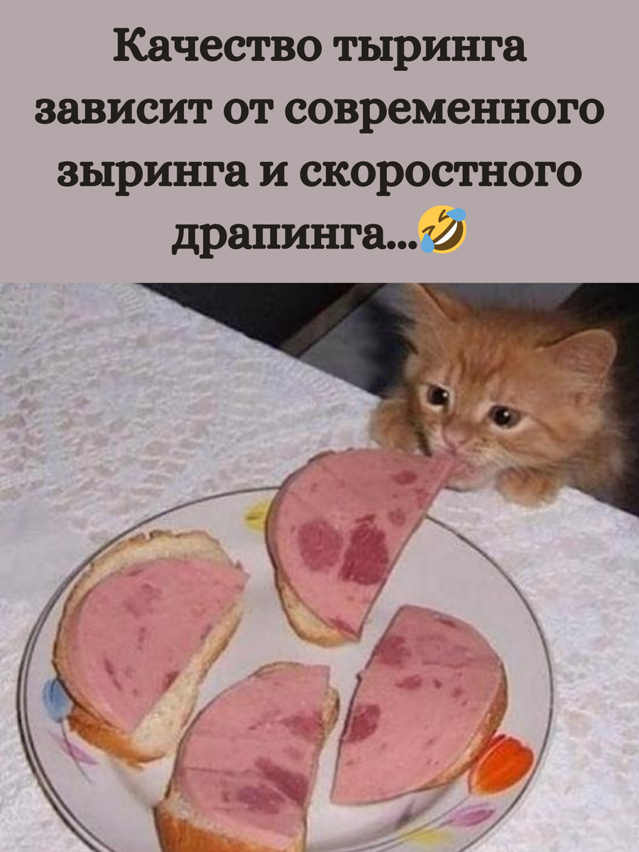 Смешные открытки