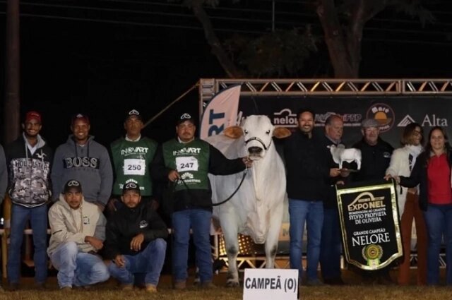    Белоснежную Карину будут мыть гипоаллергенным шампунем. Фото: кадр видео