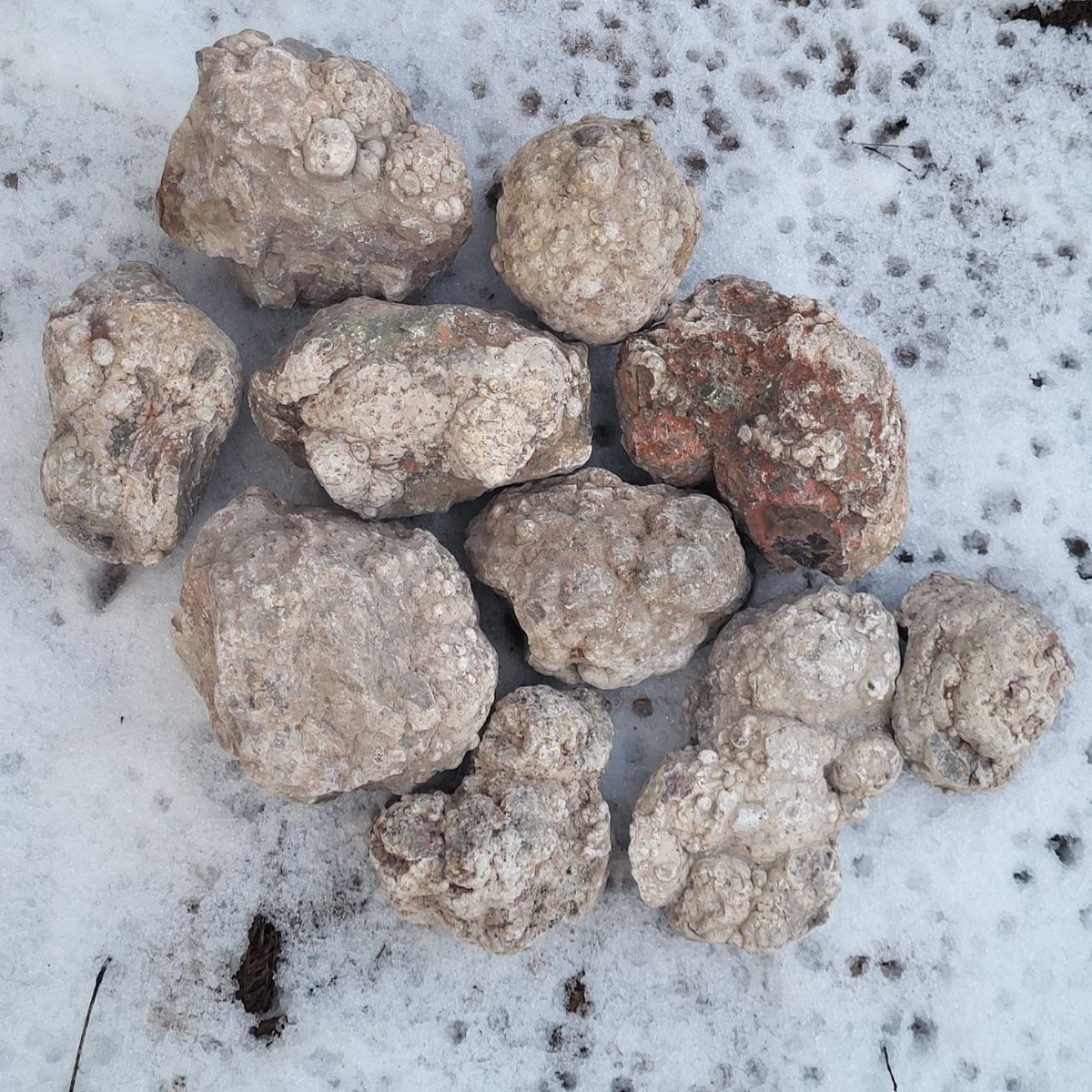 Кандидаты на распил