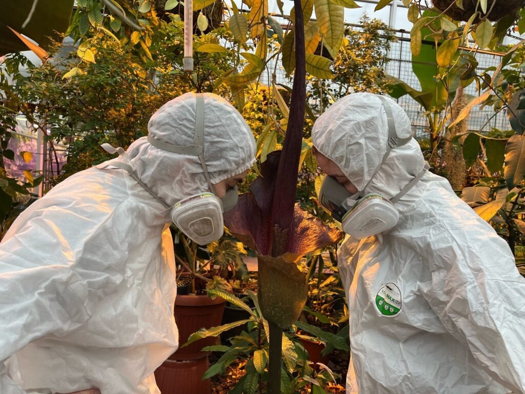    Фото: Ботанический сад ПГУ Полина Анкушина