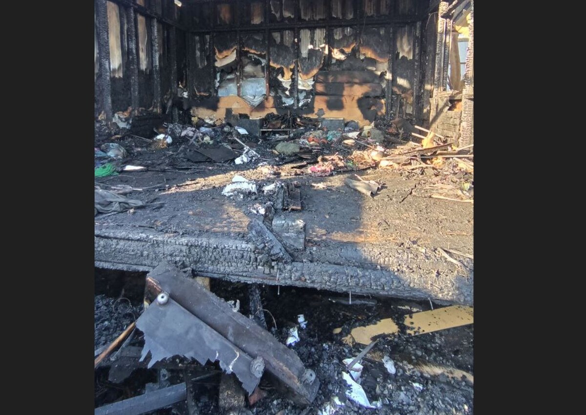 Telegram-канал «Енот Илюша»