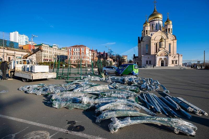    Источник фото: Анастасия Котлярова