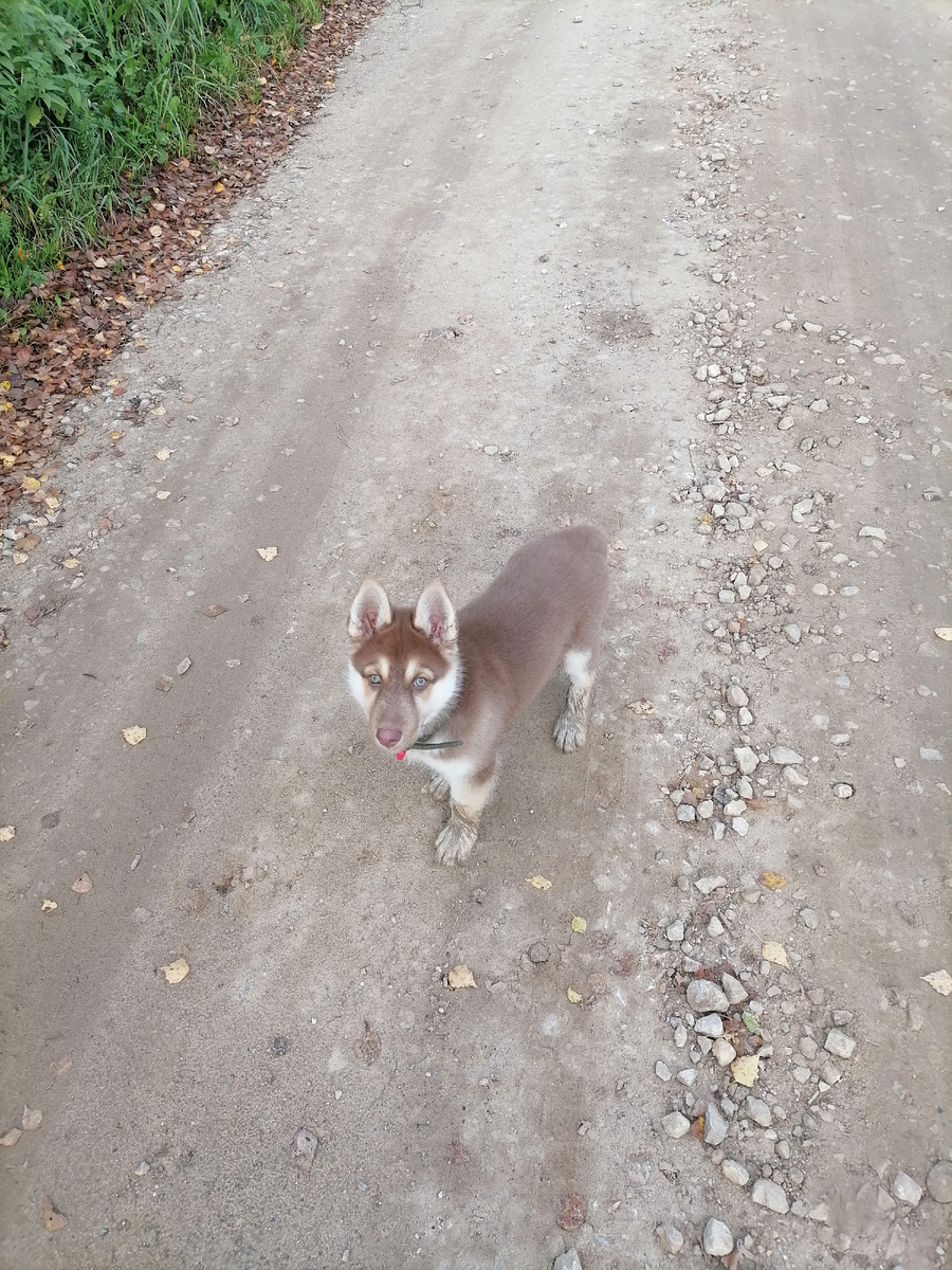 Месяца три ему здесь. 