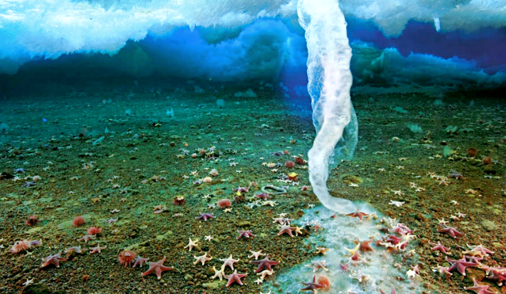 Источник фото: biletik.aero