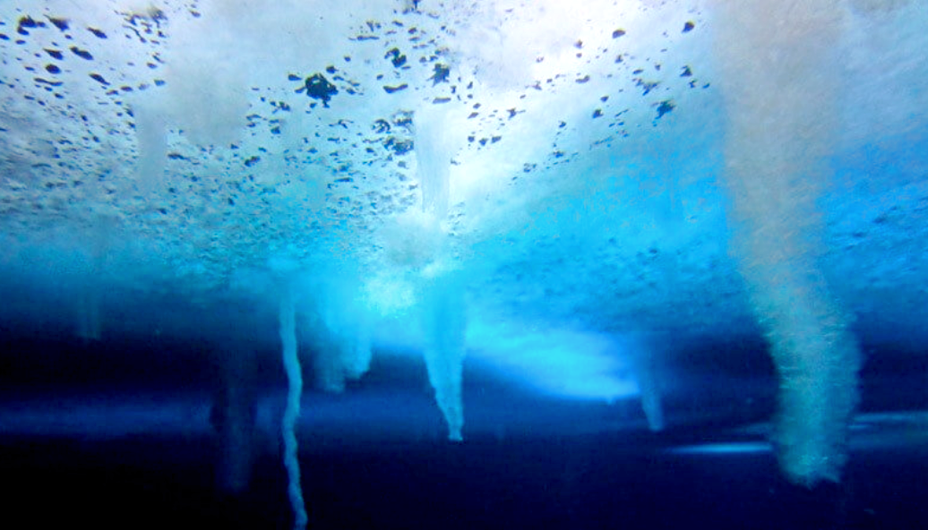 Снимок: tr.pinterest.com