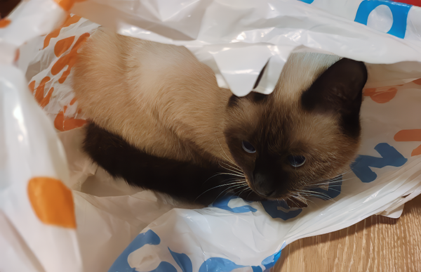 Отличное развлечение