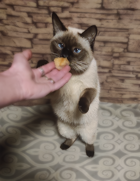 Тут кстати видно, что барышня далеко не худенькая