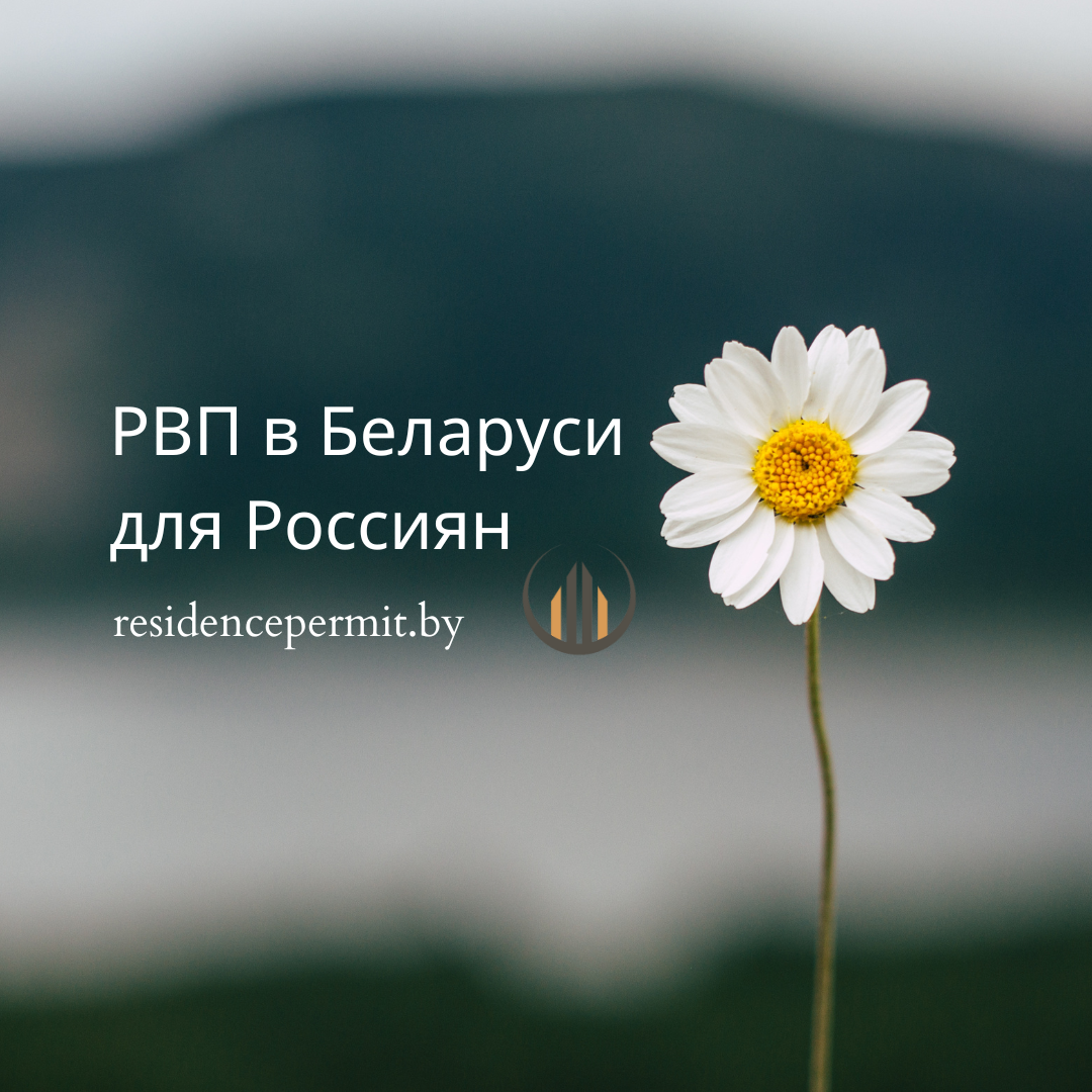РВП в Беларуси