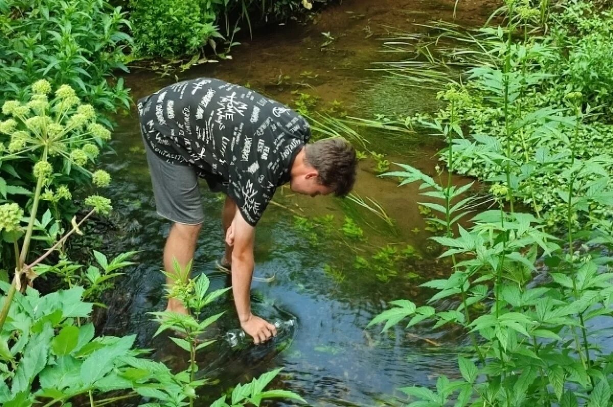    Ребята из Бершетской школы исследовали флору и фауну Ребята из Бершетской школы исследовали флору и фауну СЗЗ «ЛУКОЙЛ – Пермнефтеоргсинтез»